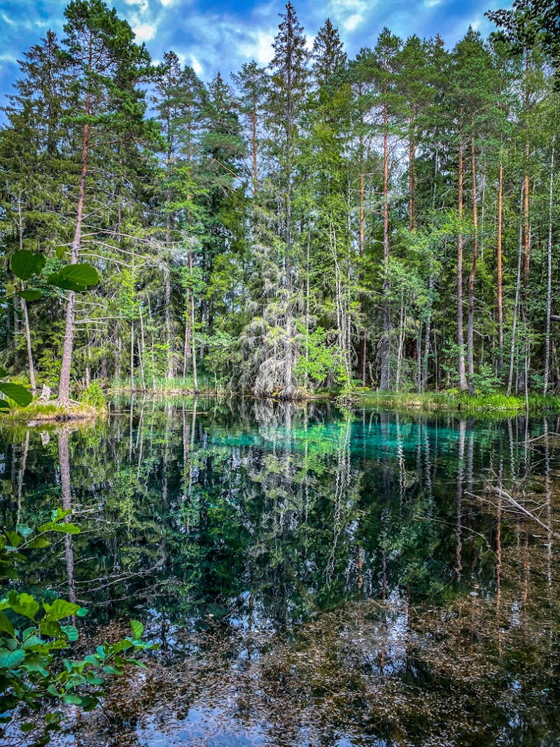 Ingbo Källor — Naturreservat med kristallklart källvatten och historia